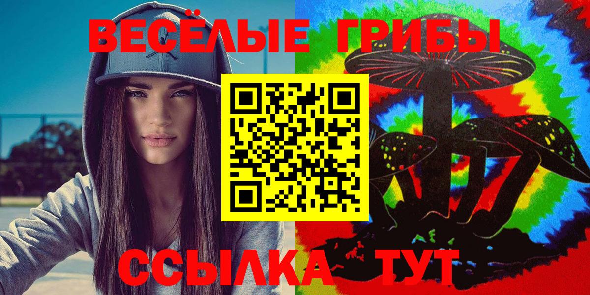 Псилоцибиновые грибы Cubensis Коломна